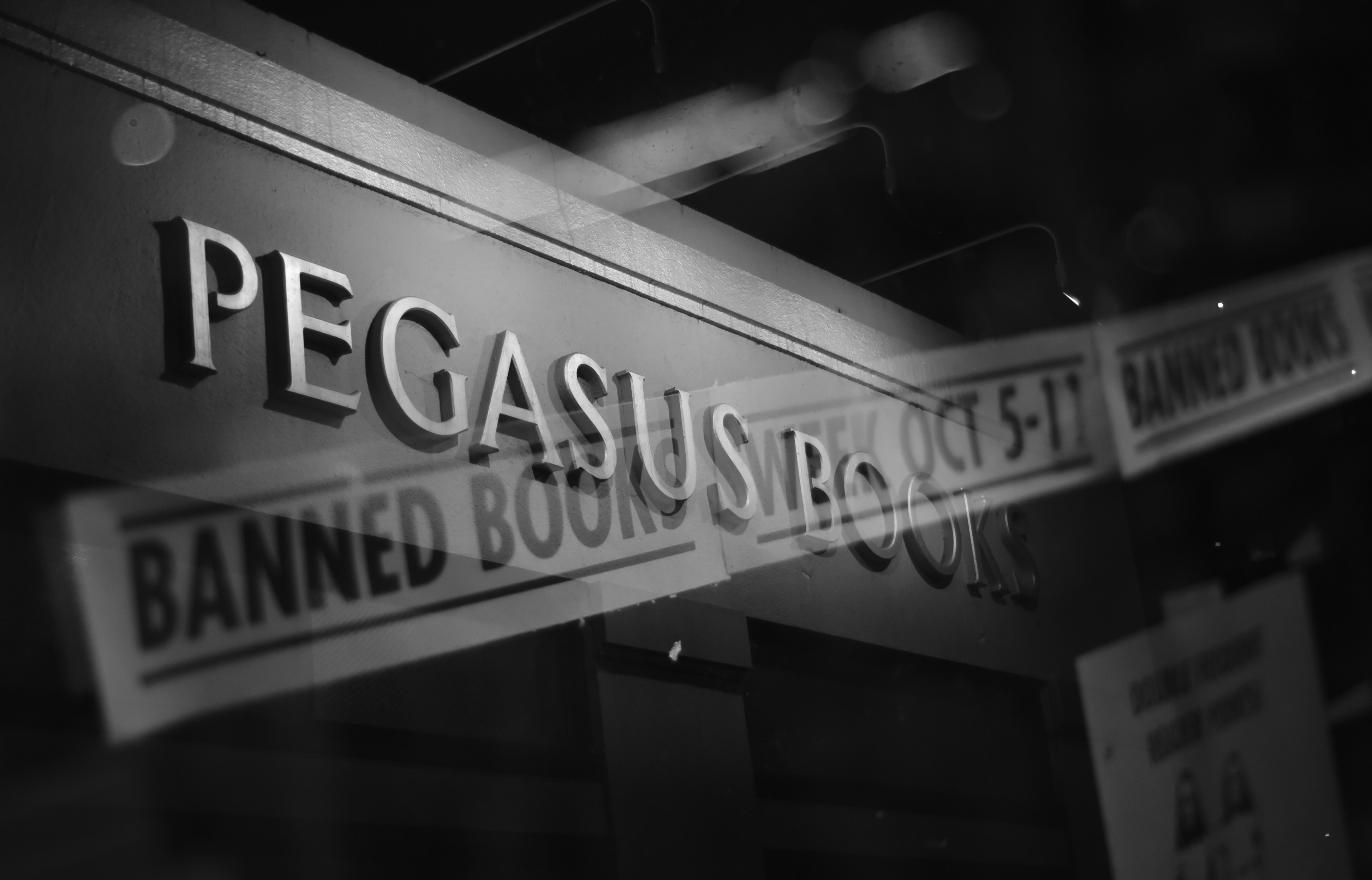 Banned Books Pegasus